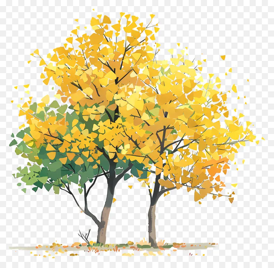 Arbre Ginkgo，Arbre Jaune PNG