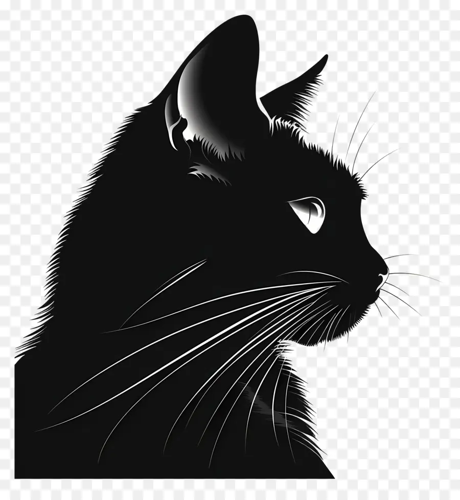 Silhouette De Chat，Chat Noir PNG