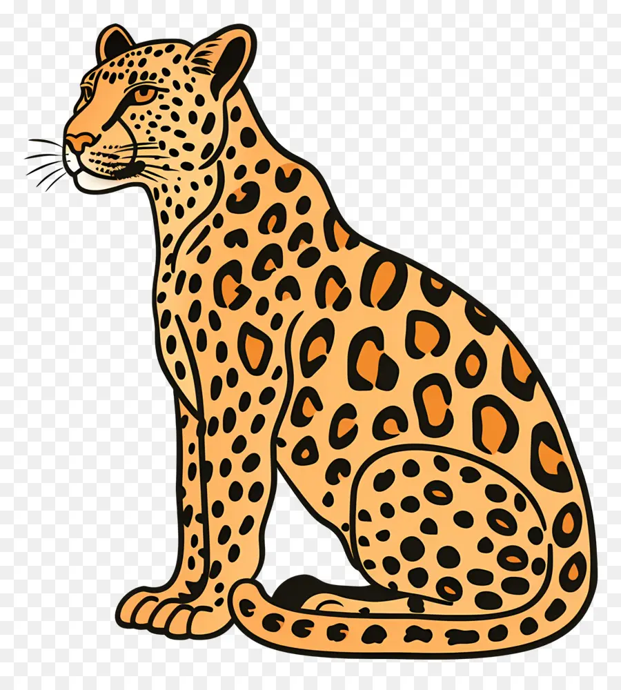 Leopard，Assis PNG