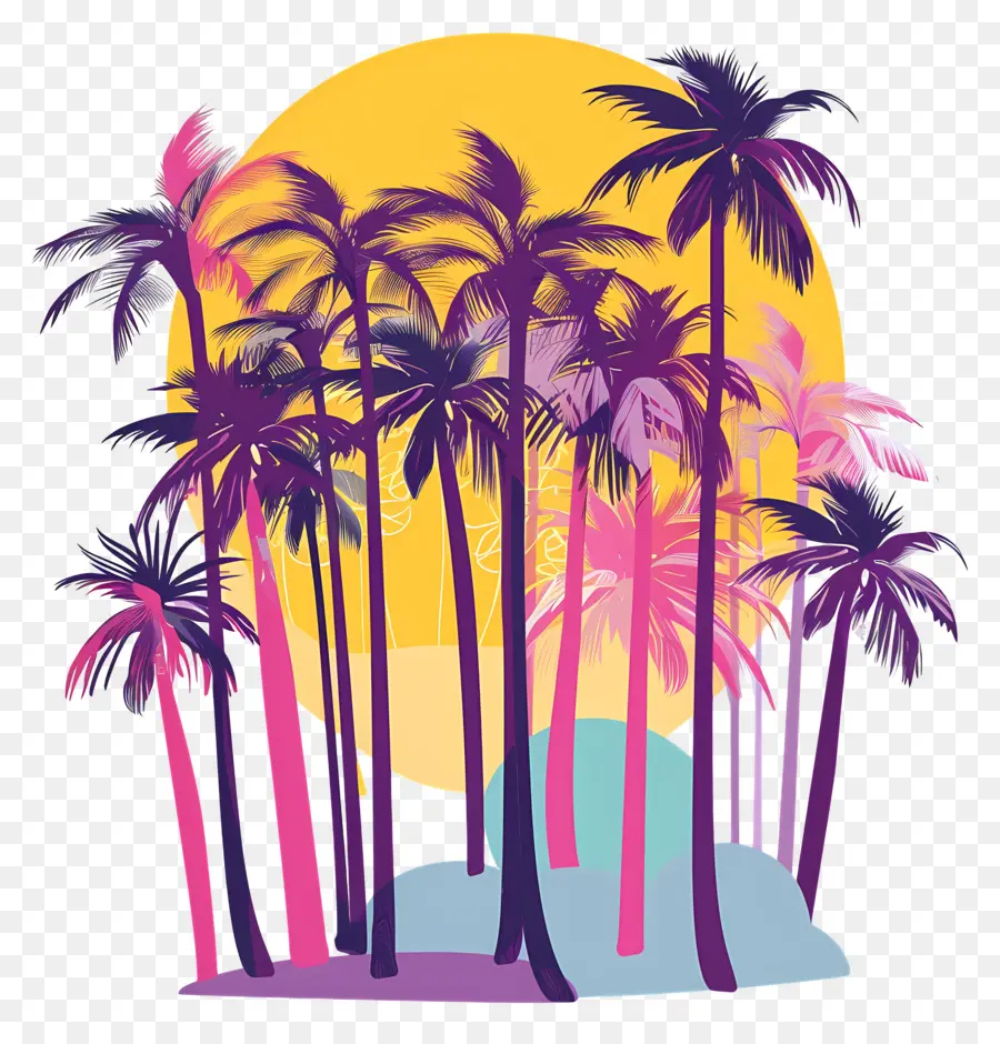 Les Palmiers，Coucher De Soleil PNG
