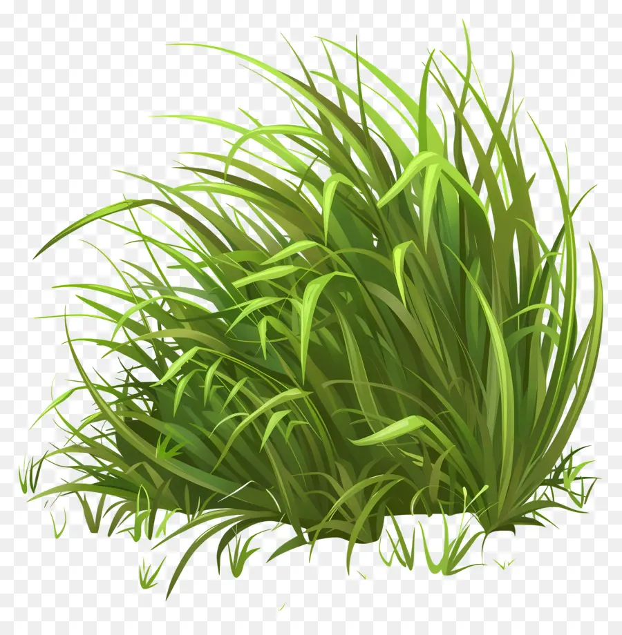 Verdure De L'herbe，L'herbe PNG