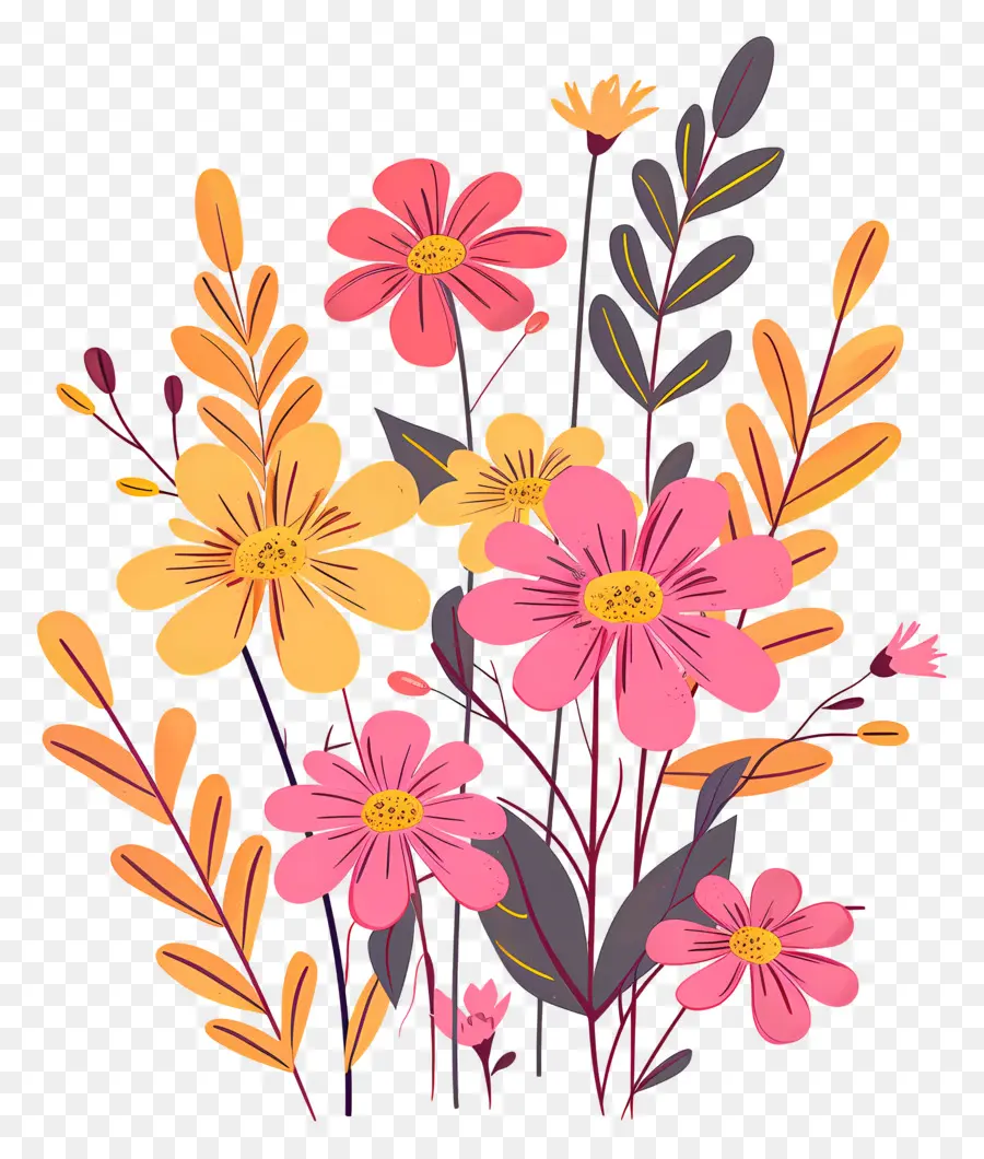 Fleurs Roses Marguerite，Fleurs PNG