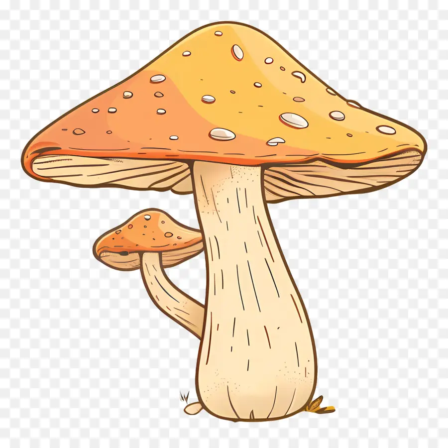 Champignon，Rouge PNG