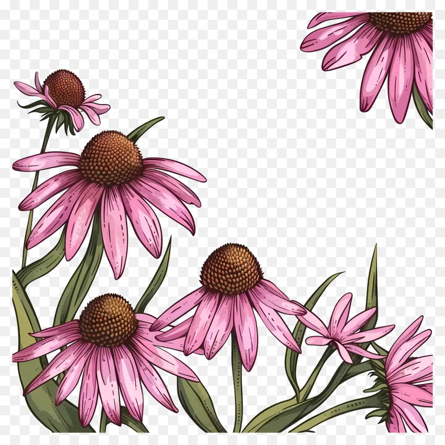 Arrière Plan Noir，Fleurs Délicates PNG