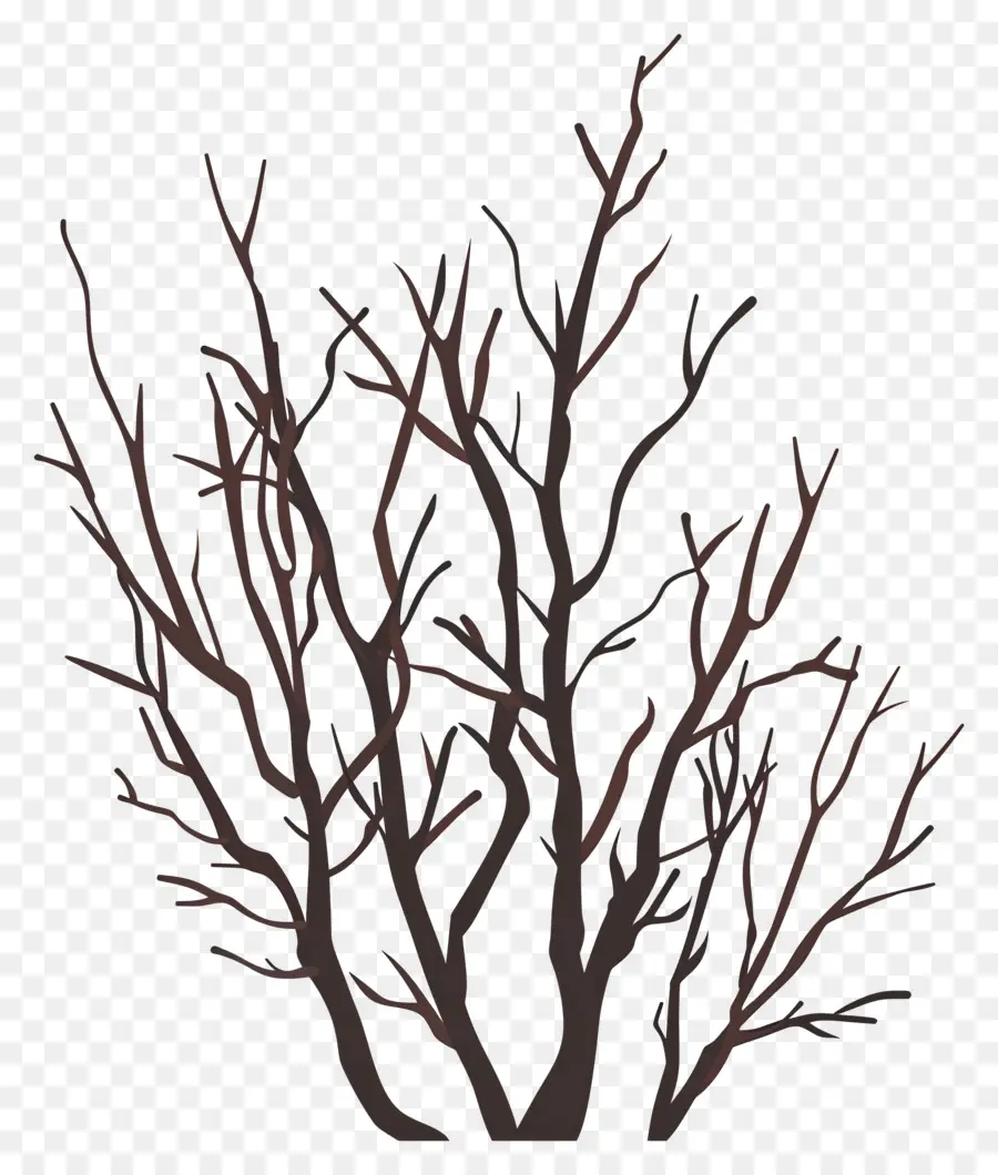 Branches Nues，Arbres PNG