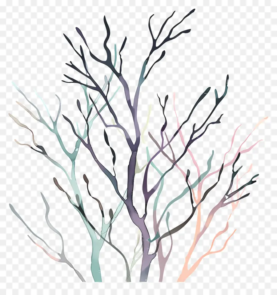 Branches Nues，Les Arbres PNG