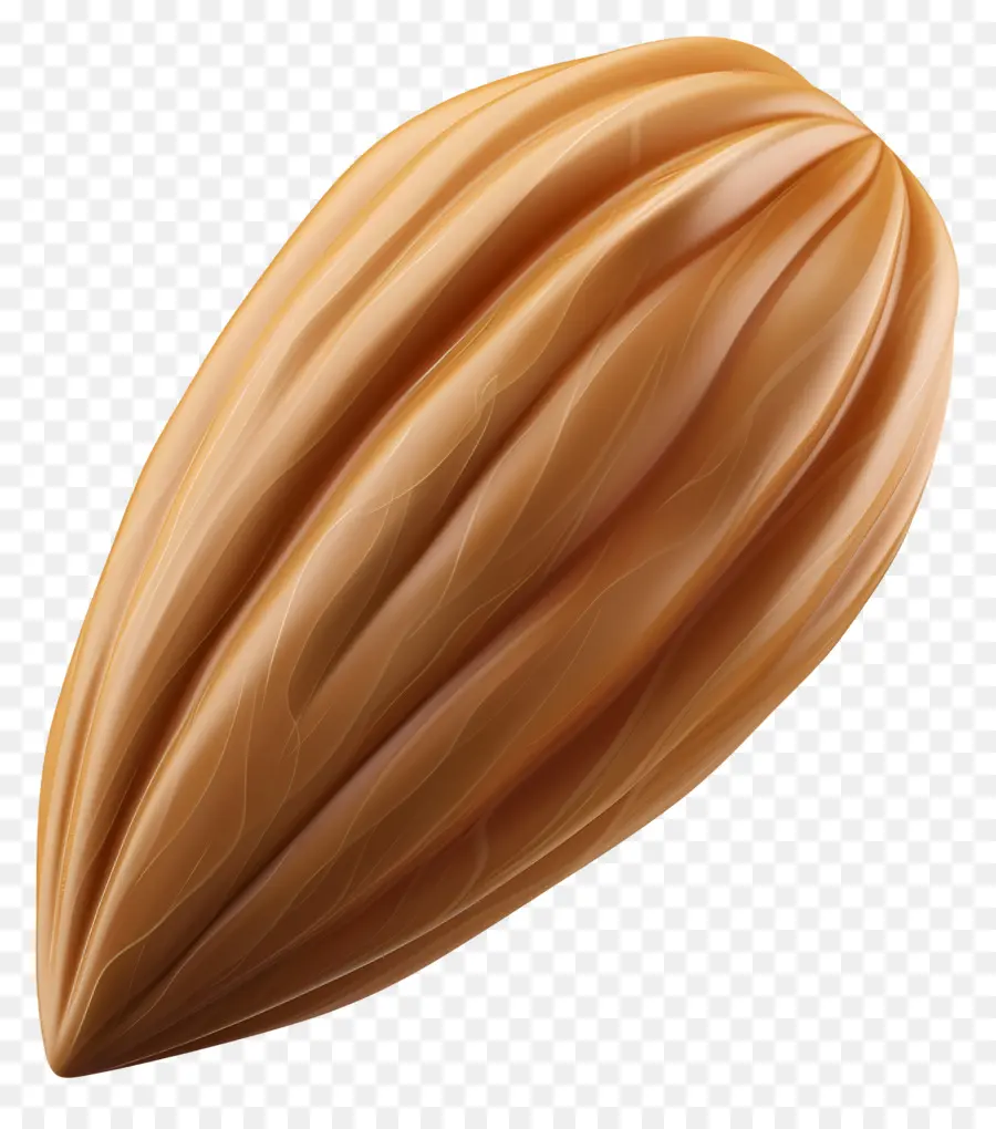 Amande Simple，Gousse De Cacao PNG