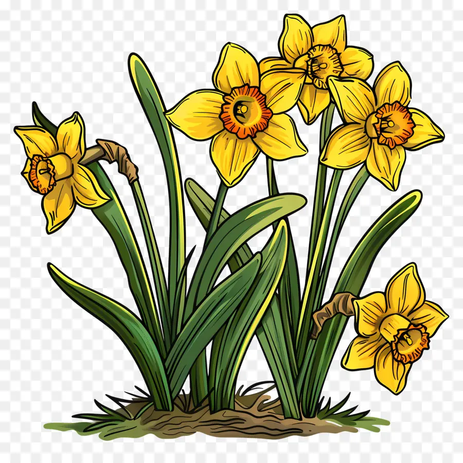 Jonquilles Jaunes，Printemps PNG