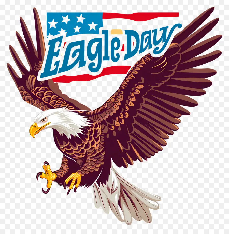 American Eagle Jour，Le Pygargue à Tête Blanche PNG