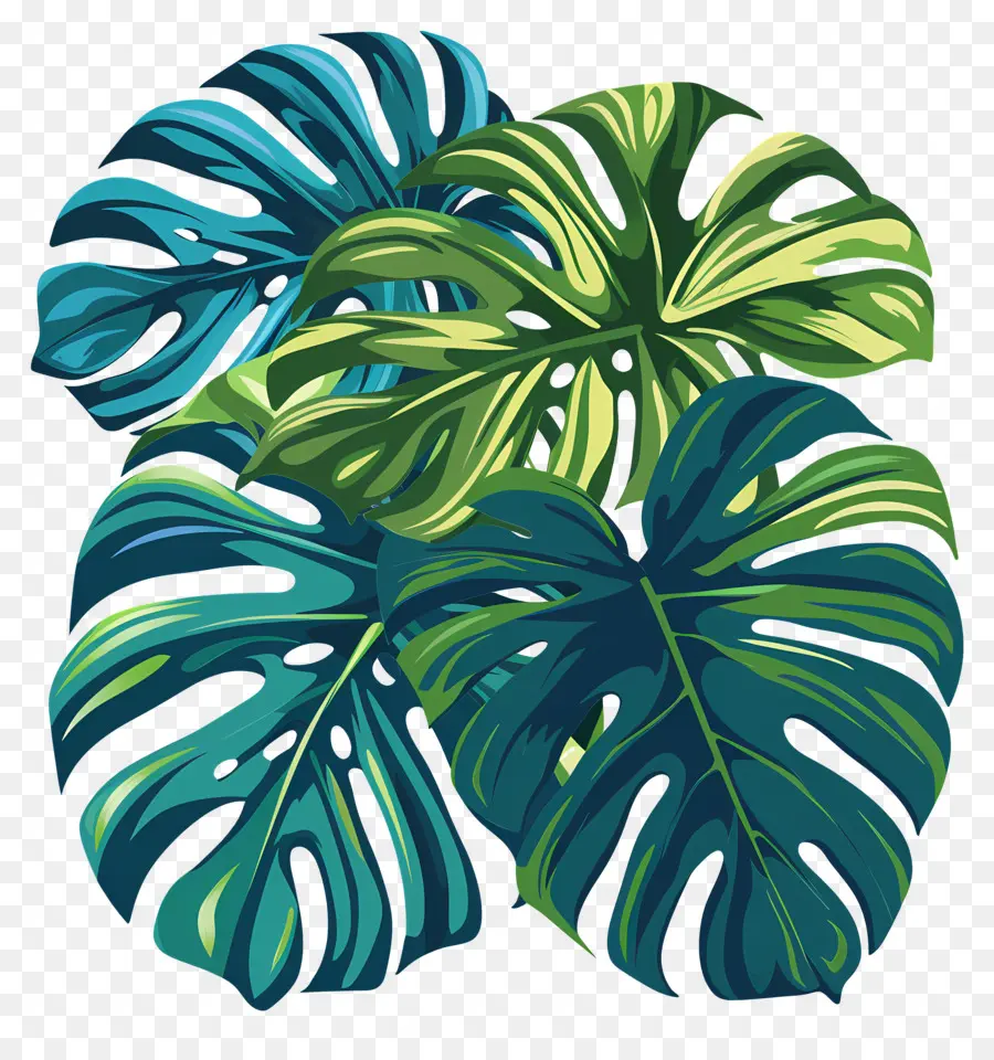 Les Feuilles De Monstera，Feuilles Vertes PNG