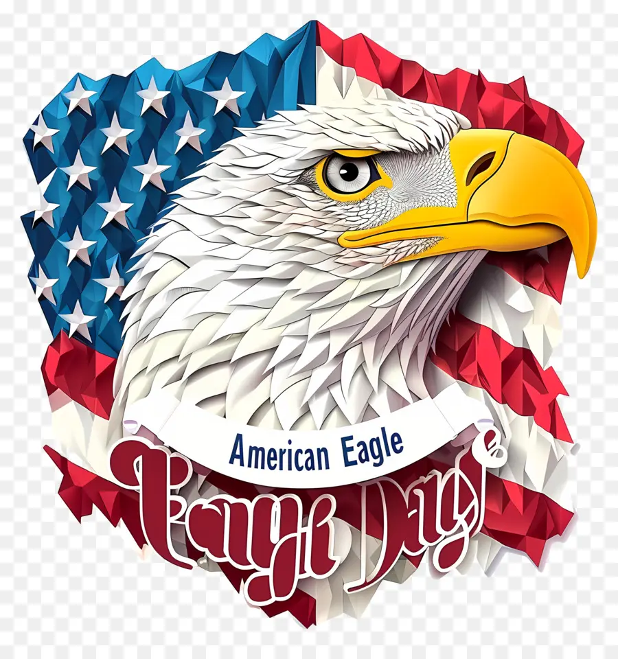 American Eagle Jour，Aigle Américain PNG