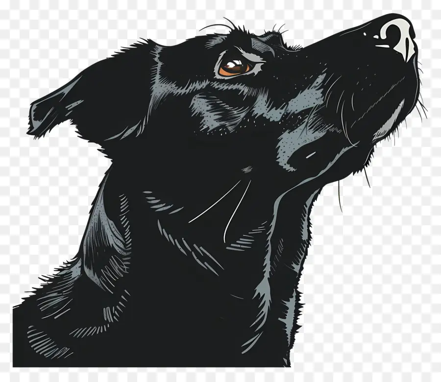 Chien，Chien Noir PNG