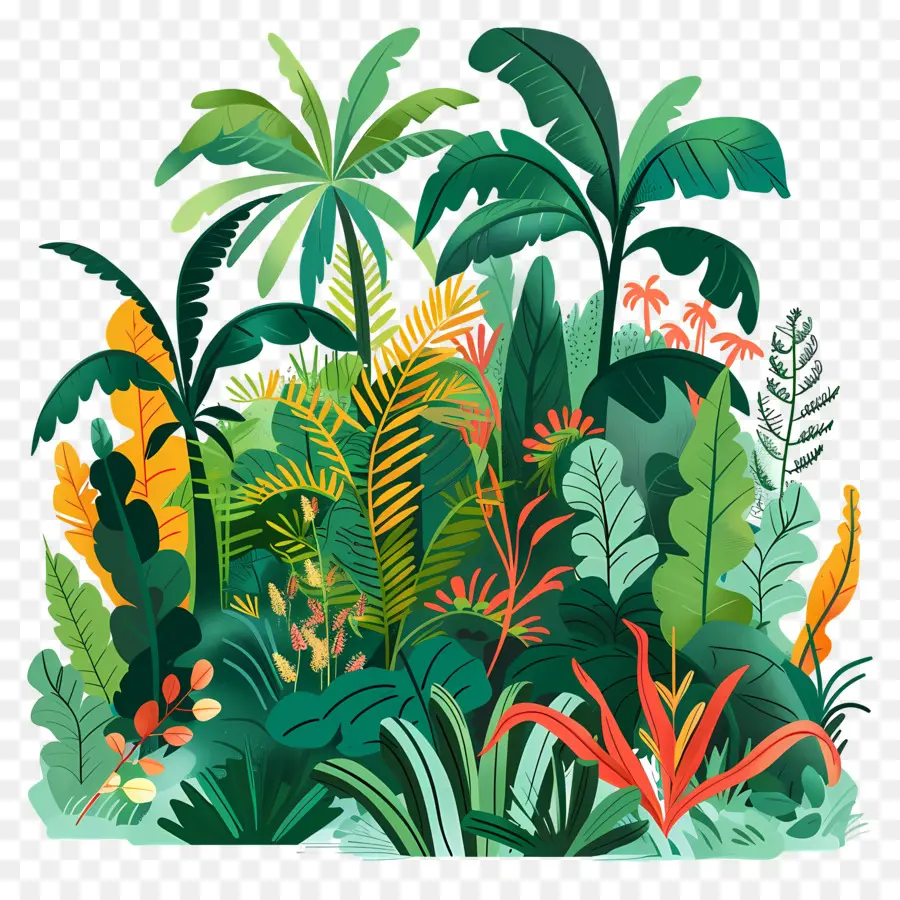 Forêt Tropicale，Plantes Colorées PNG