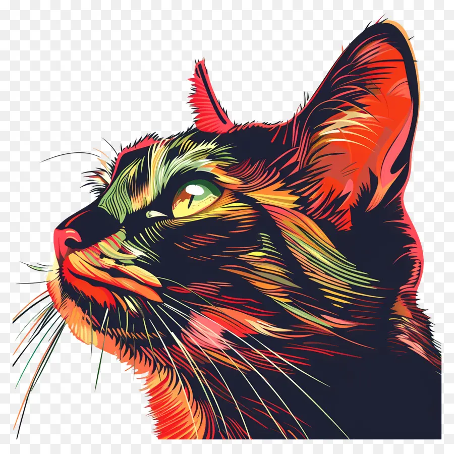 Chat，Chat Illustration PNG