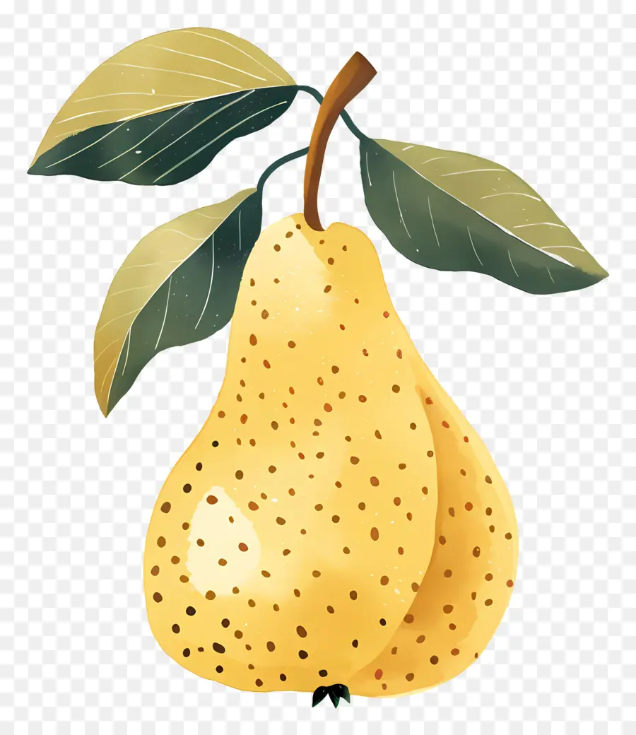 Poire，Feuilles PNG