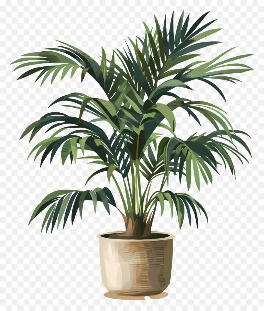 Palmier En Pot，Plante En Pot PNG