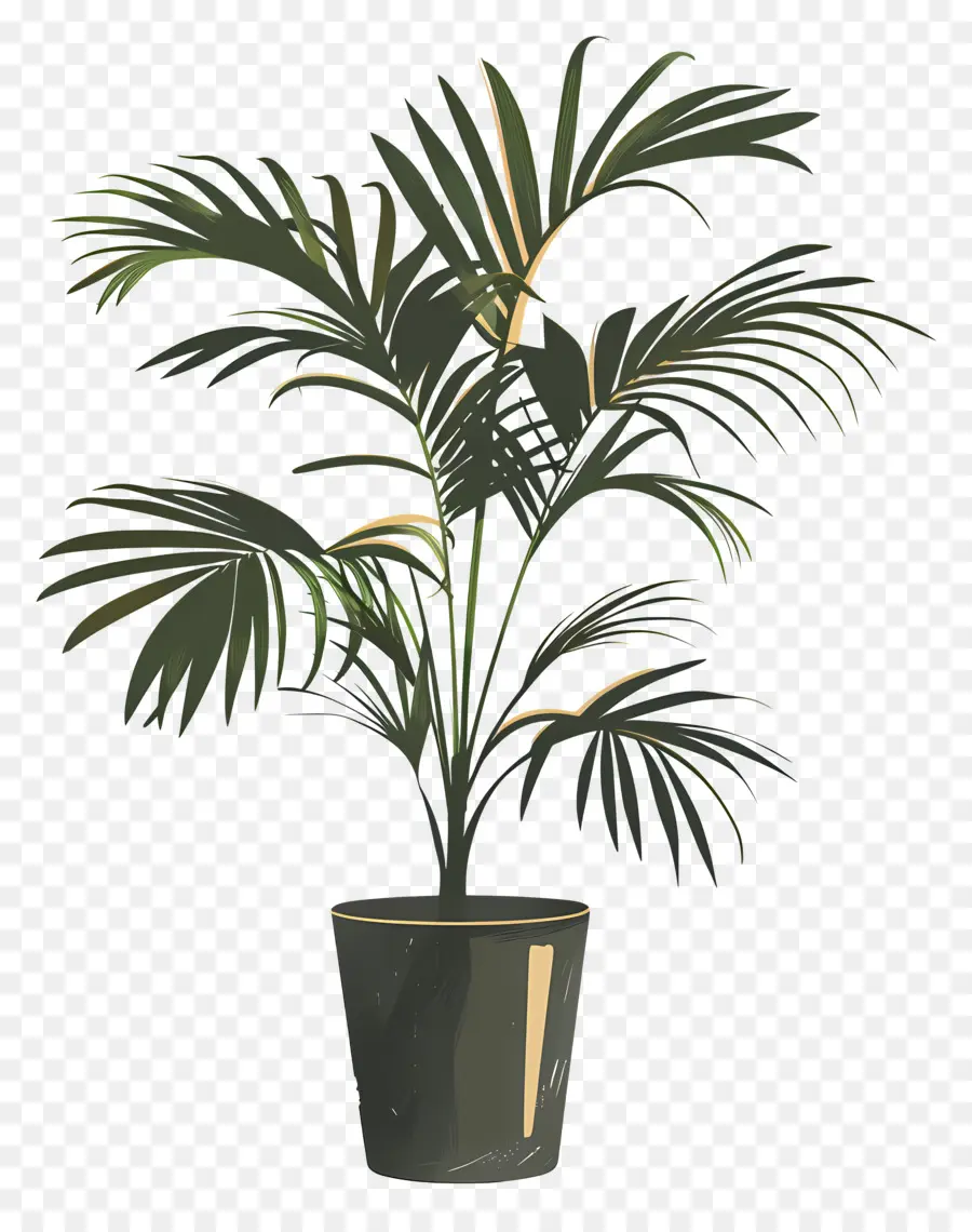 Palmier En Pot，Plante Verte En Pot PNG