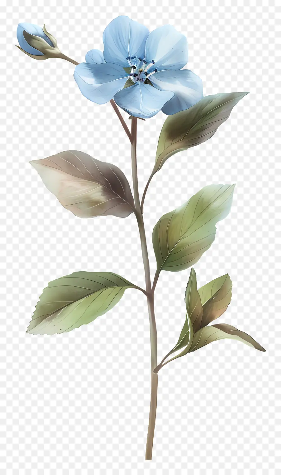 Aquarelle Fleurs，Fleurs Bleues PNG