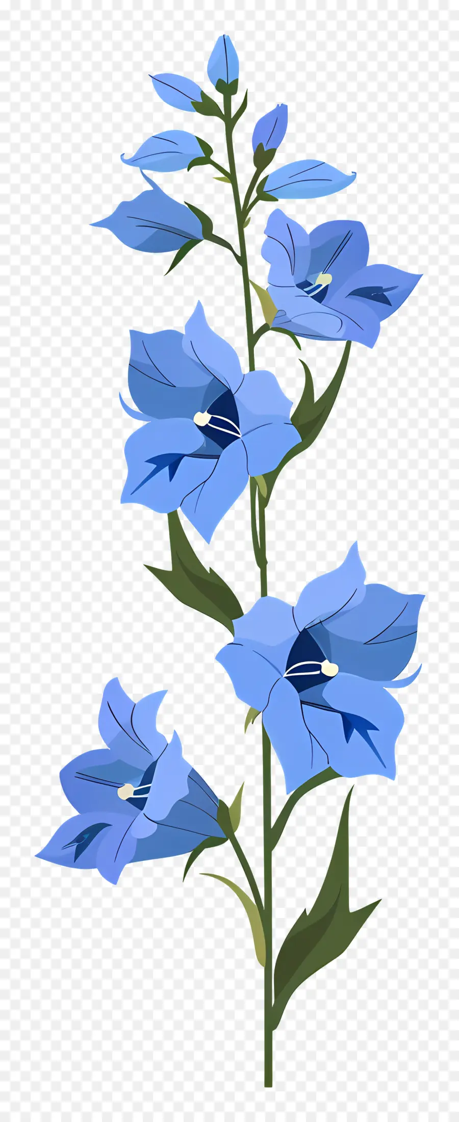 Delphinium，Fleur Bleue PNG