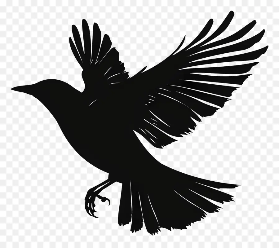 L'oiseau Qui Vole Silhouette，L'oiseau Noir PNG
