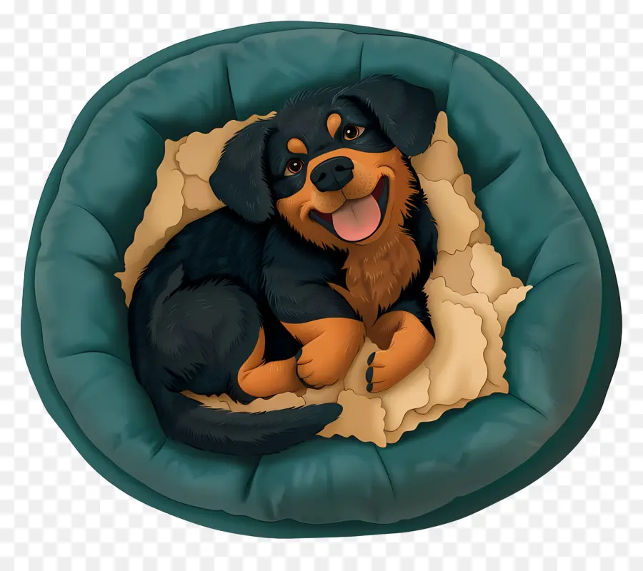 Lit Pour Chien，Chien Au Lit PNG