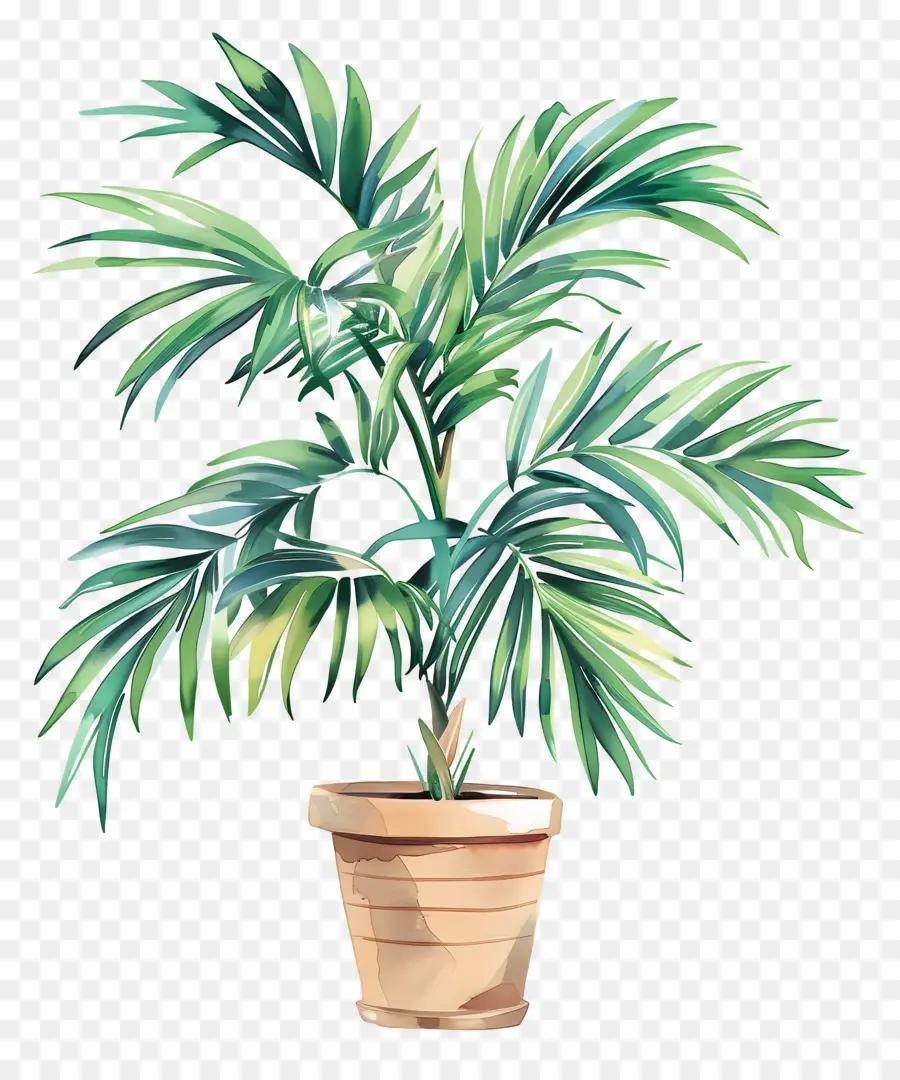Palmier En Pot，Plante En Pot Vert PNG