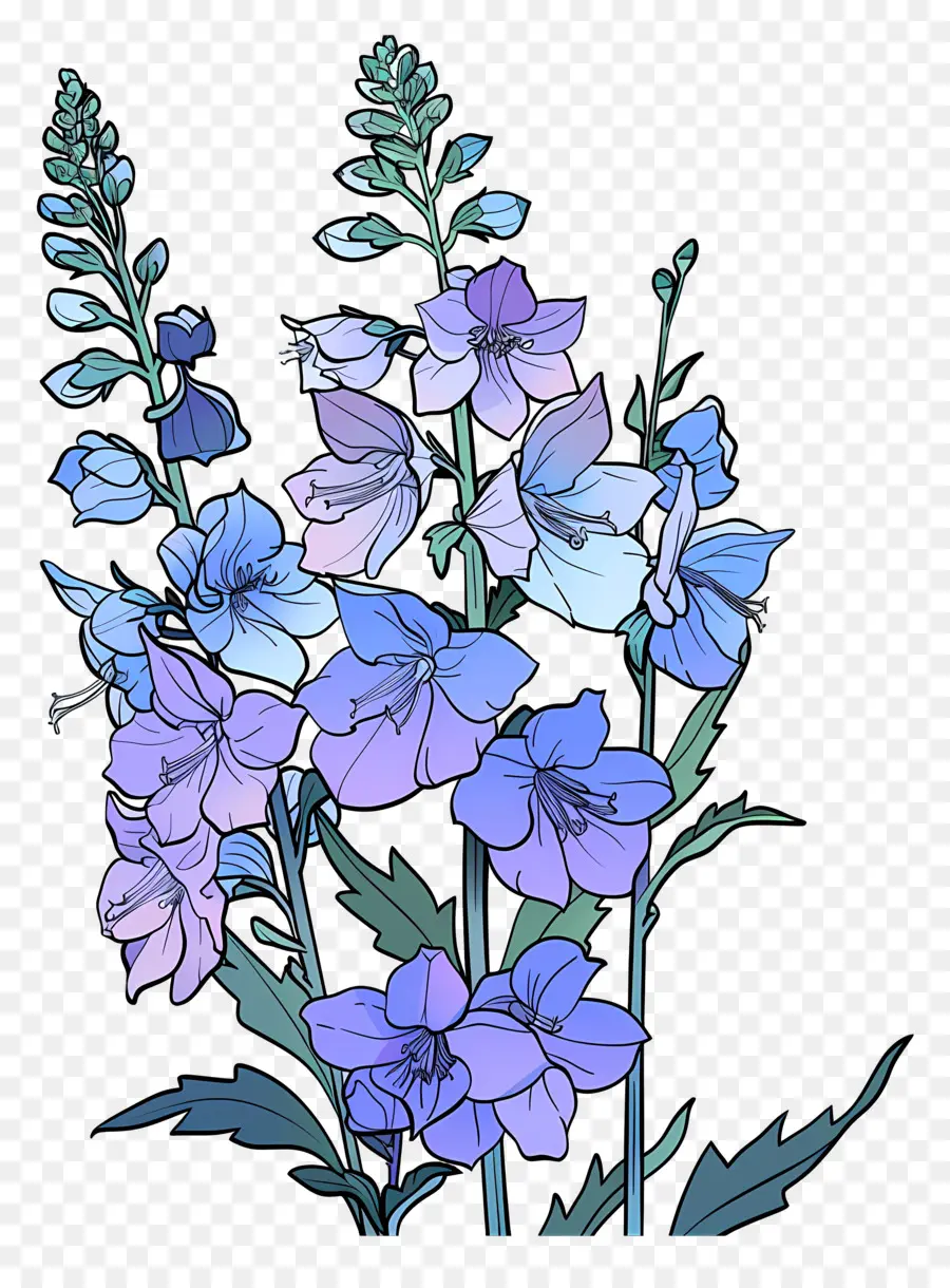 Delphinium，Fleurs Bleues PNG