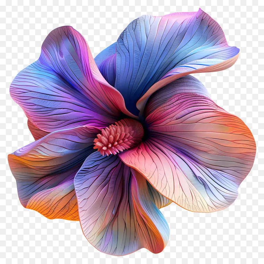 Fleur Exotique，Coloré Fleur PNG