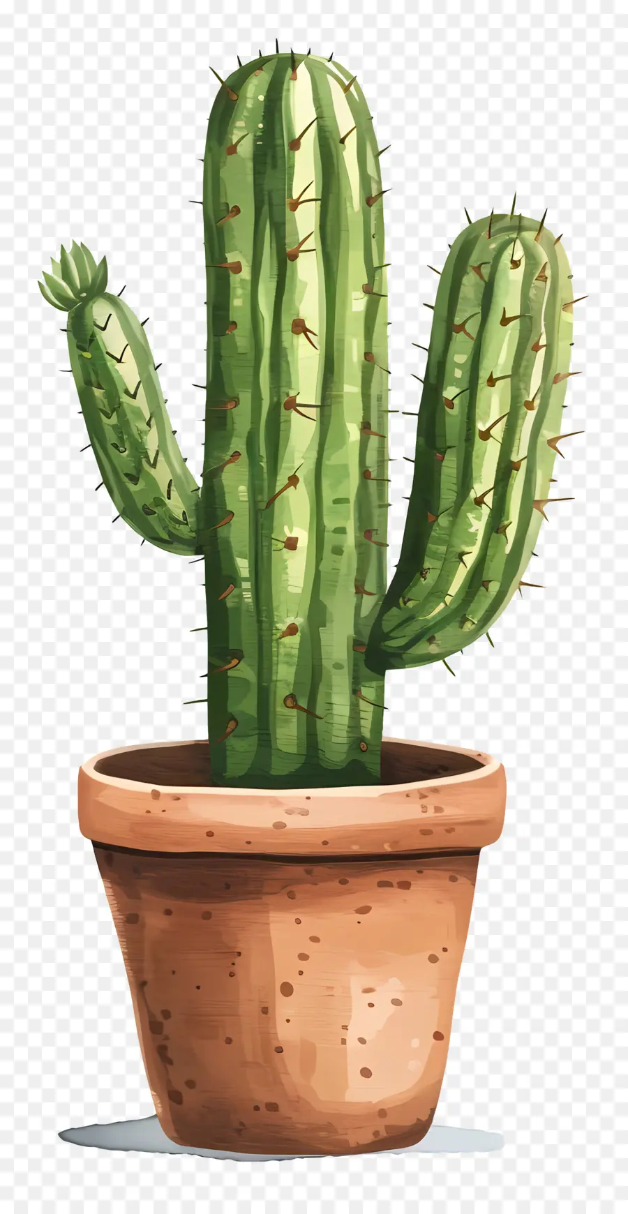 Cactus，Pot PNG