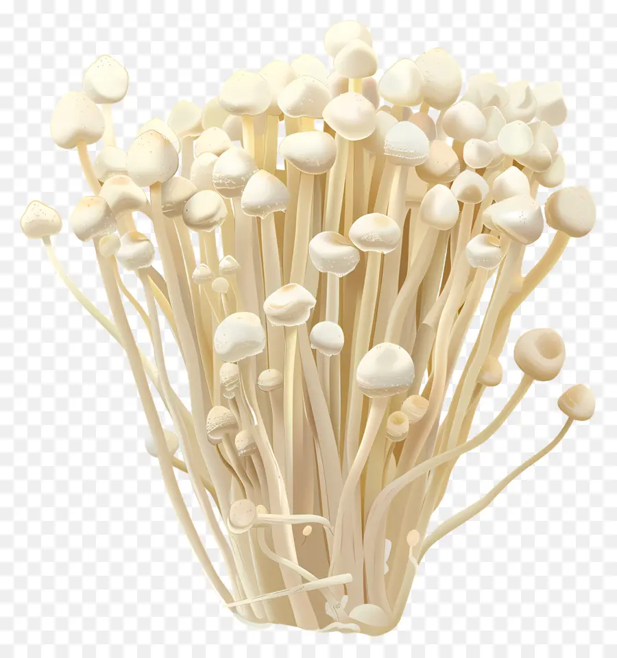 Champignon Enoki，Champignons PNG