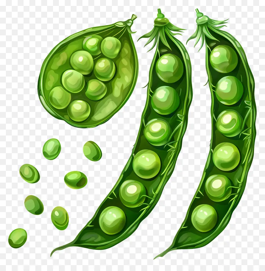 Petits Pois，Pois Verts PNG