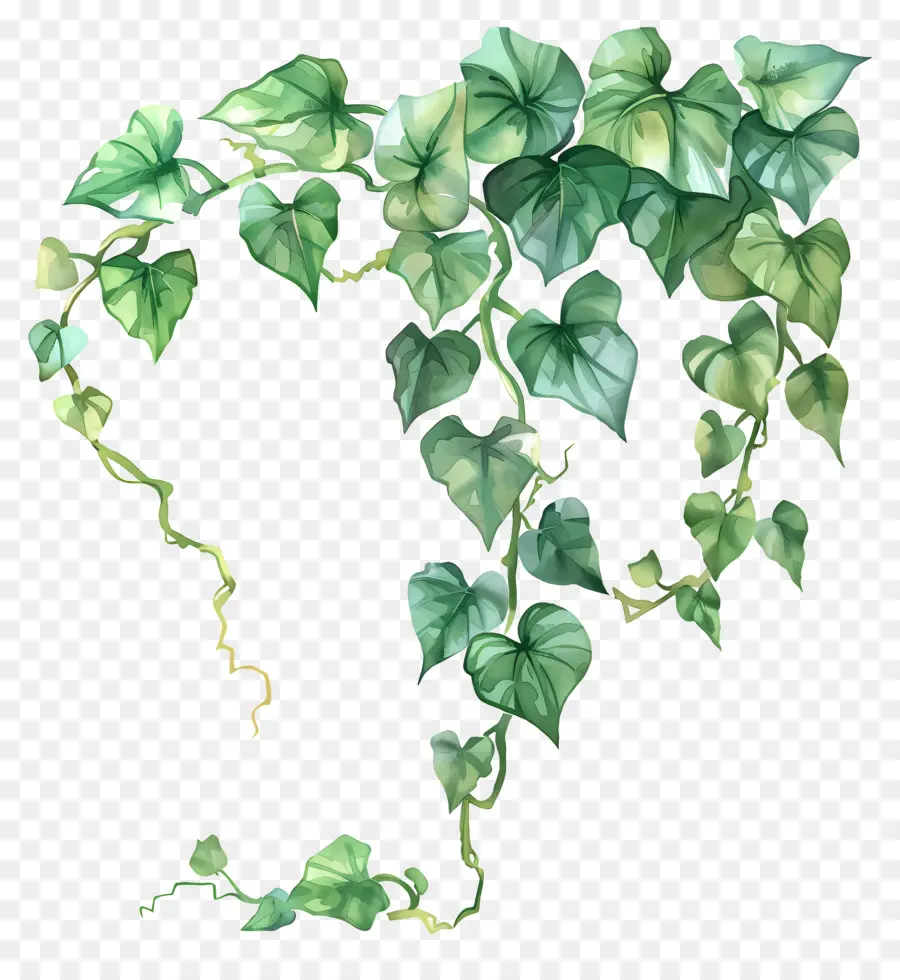 Plante Grimpante，De La Vigne PNG