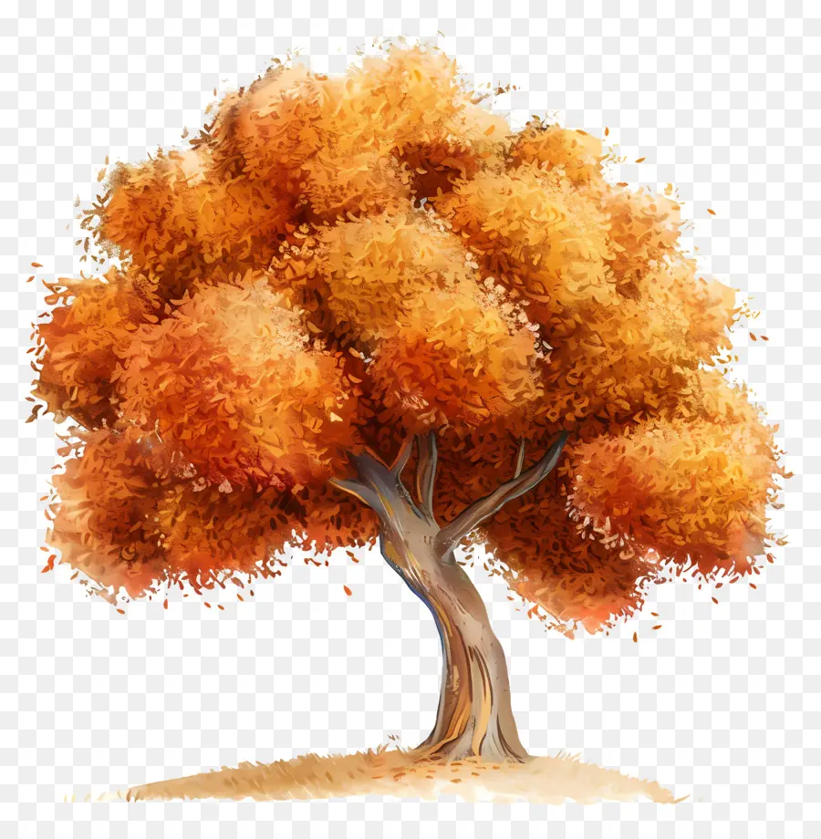 Arbre，Arbre D'automne PNG