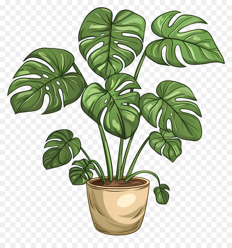 Feuille De Monstera，Plante En Pot PNG