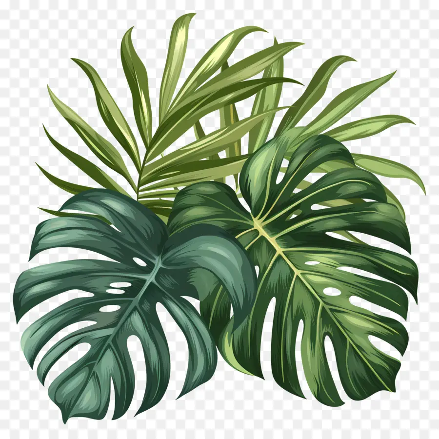 Feuilles Tropicales Exotiques，Feuille Verte PNG