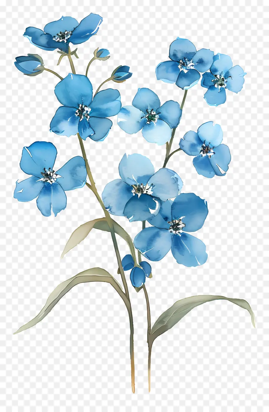 Fleurs Aquarelles，Fleurs Bleues PNG