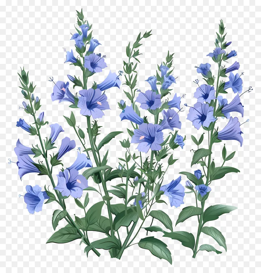 Fleurs Sauvages，Fleurs Bleues PNG