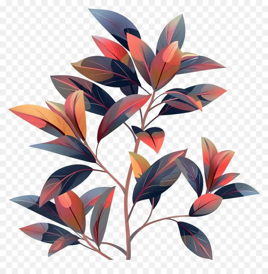 Plante Ornementale，Feuilles Colorées PNG