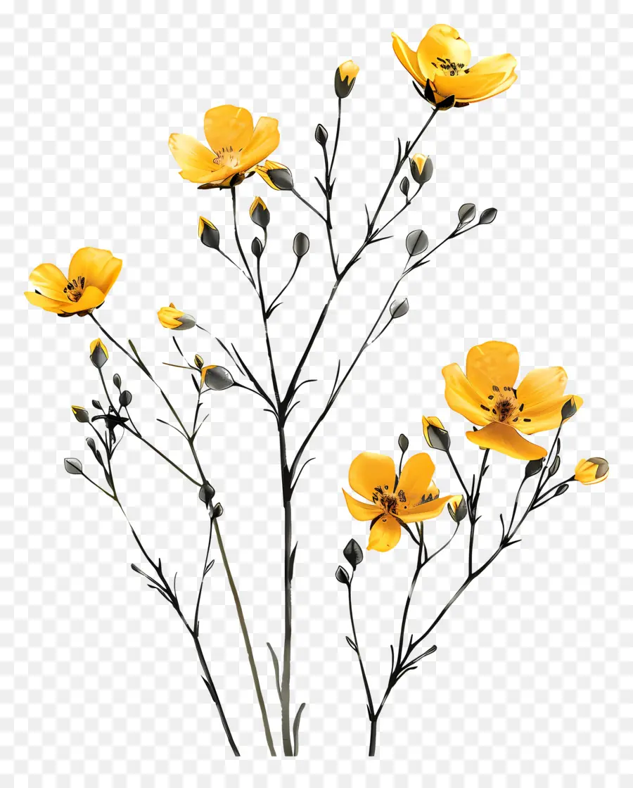 Fleurs Jaunes，Vase PNG