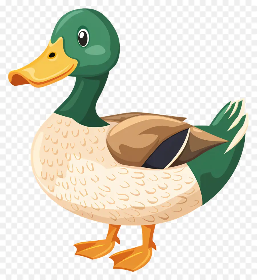 Canard，Bec PNG