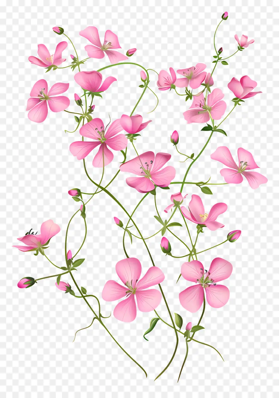 Fleurs Roses，Fleurir PNG