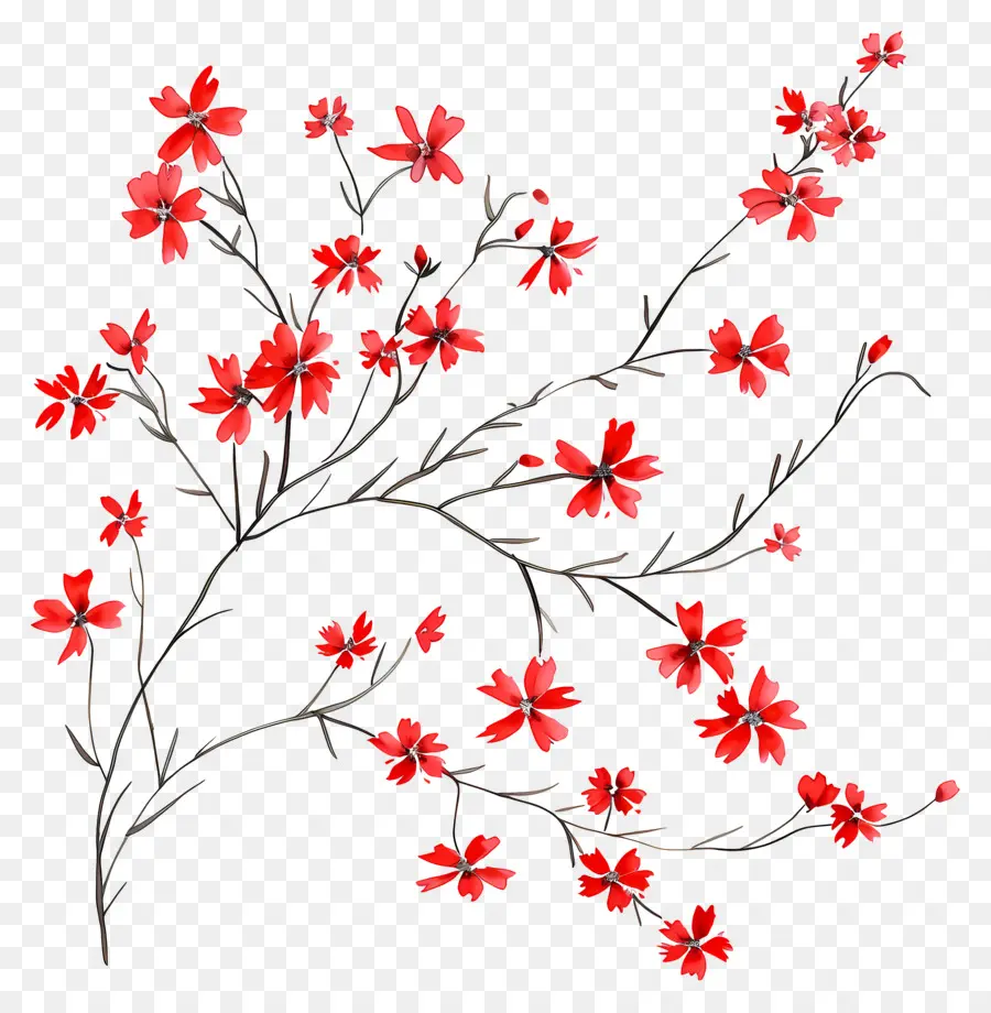 Fleurs Rouges，Floral PNG