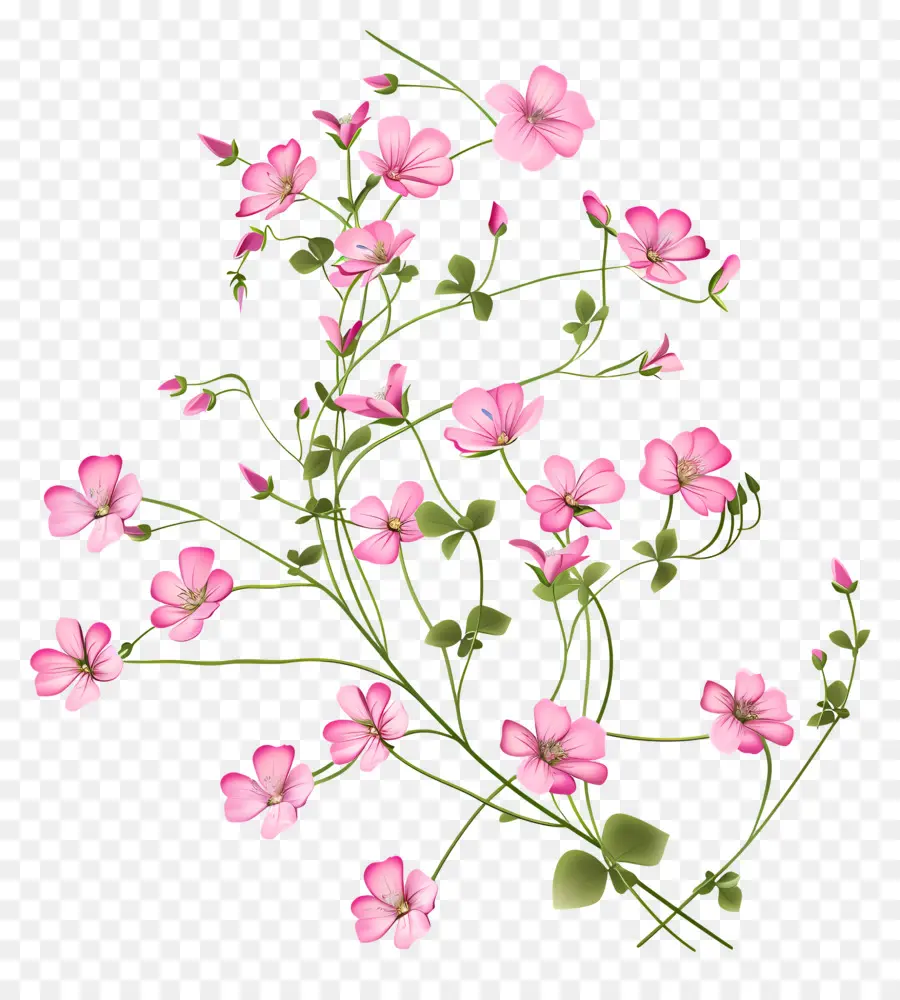 Fleurs Roses，Fleurir PNG