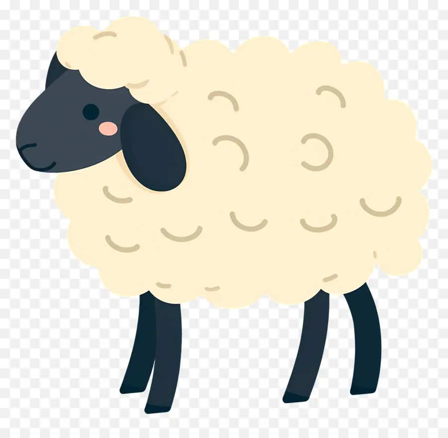 Mouton，Mouton Blanc PNG