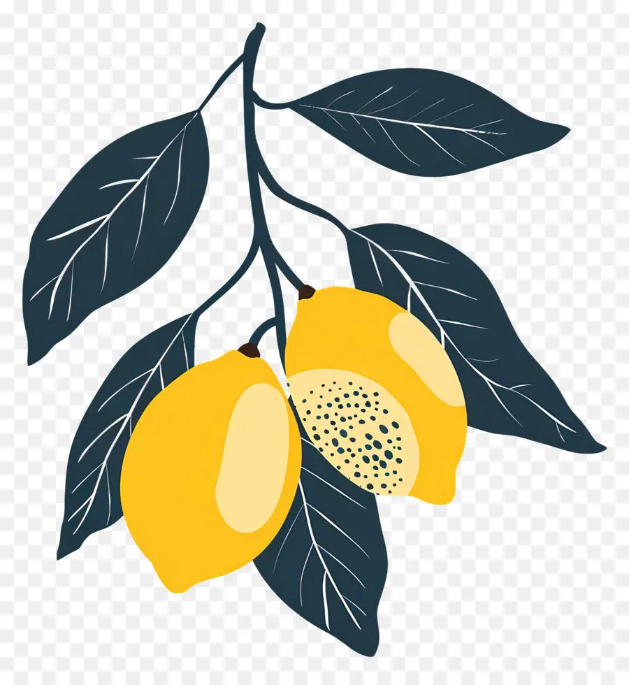 Citrons，Citronnier PNG