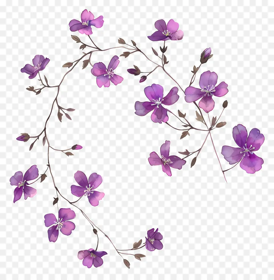 Fleurs Violettes，Fleurir PNG