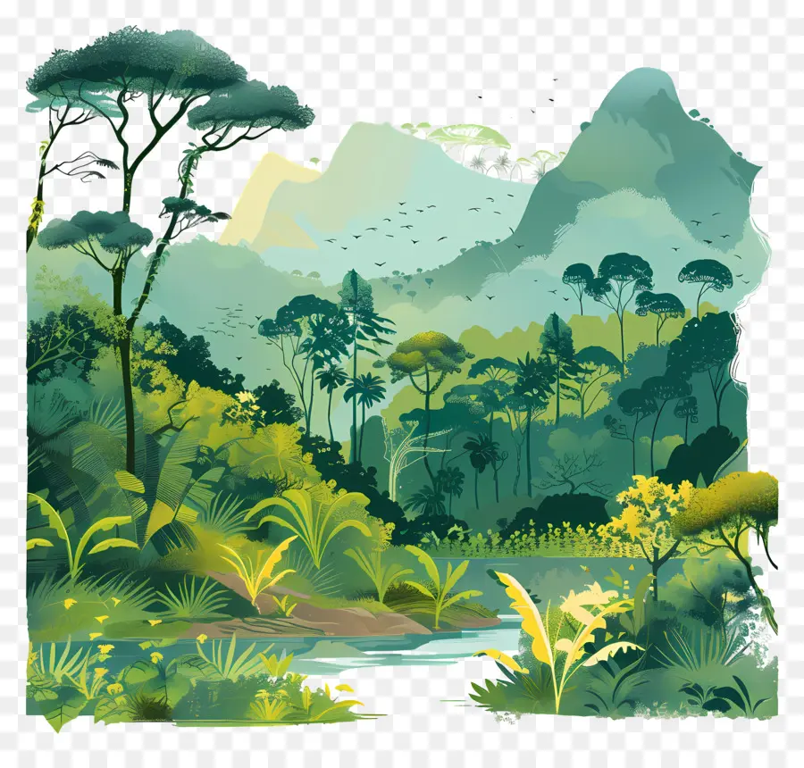 La Forêt Amazonienne，La Jungle Tropicale PNG