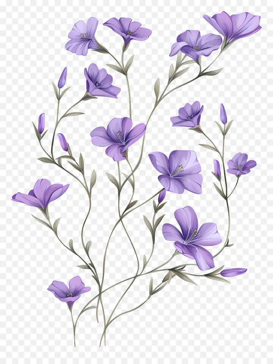 Fleurs Pourpres，Bouquet PNG