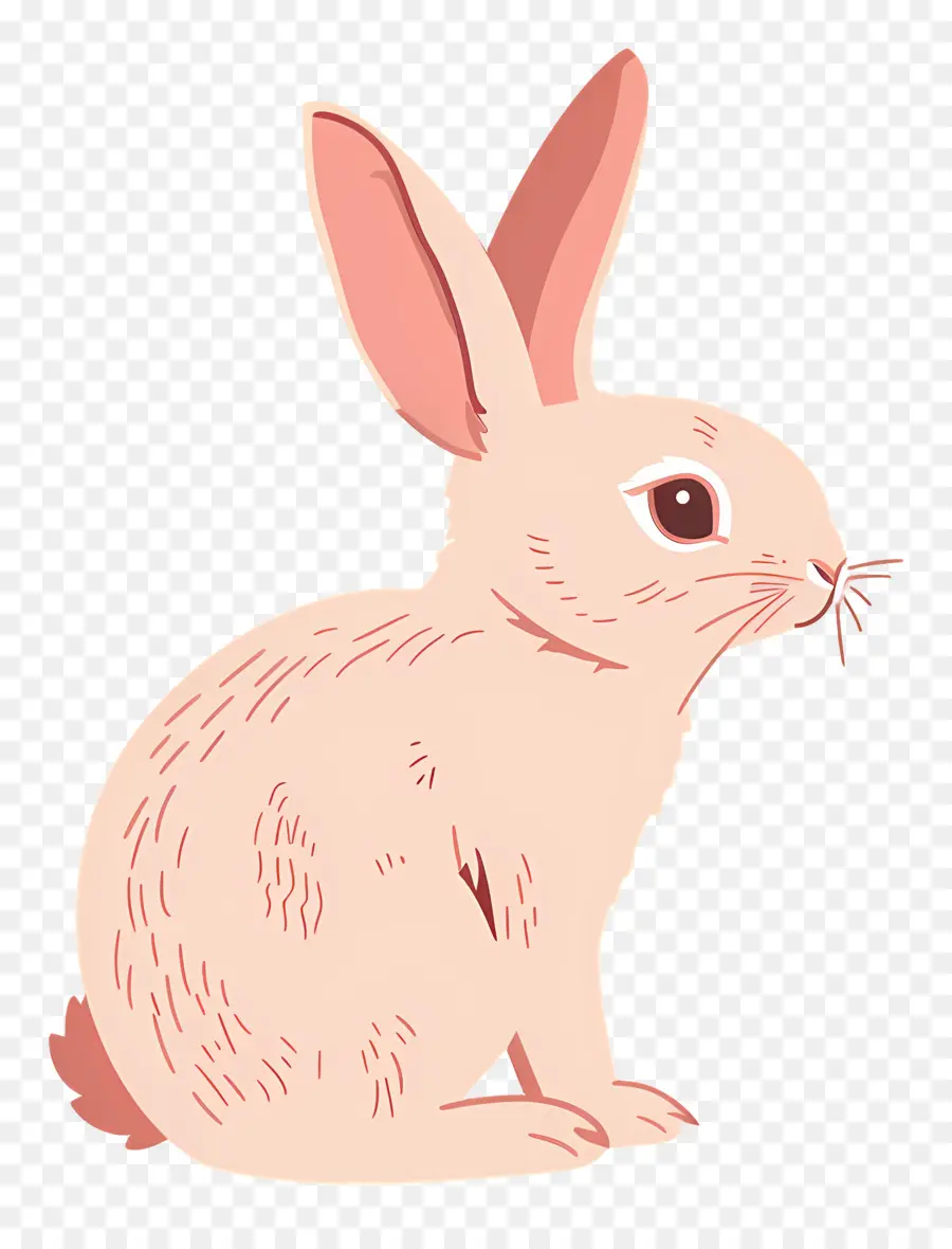 Lapin，Mignon PNG