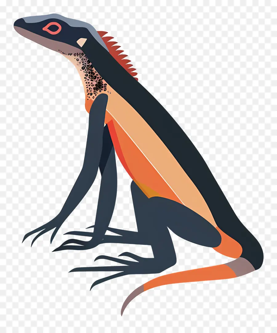 Lézard，Lézard Coloré PNG